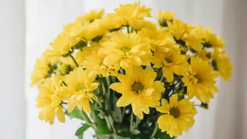 Жёлтые цветы